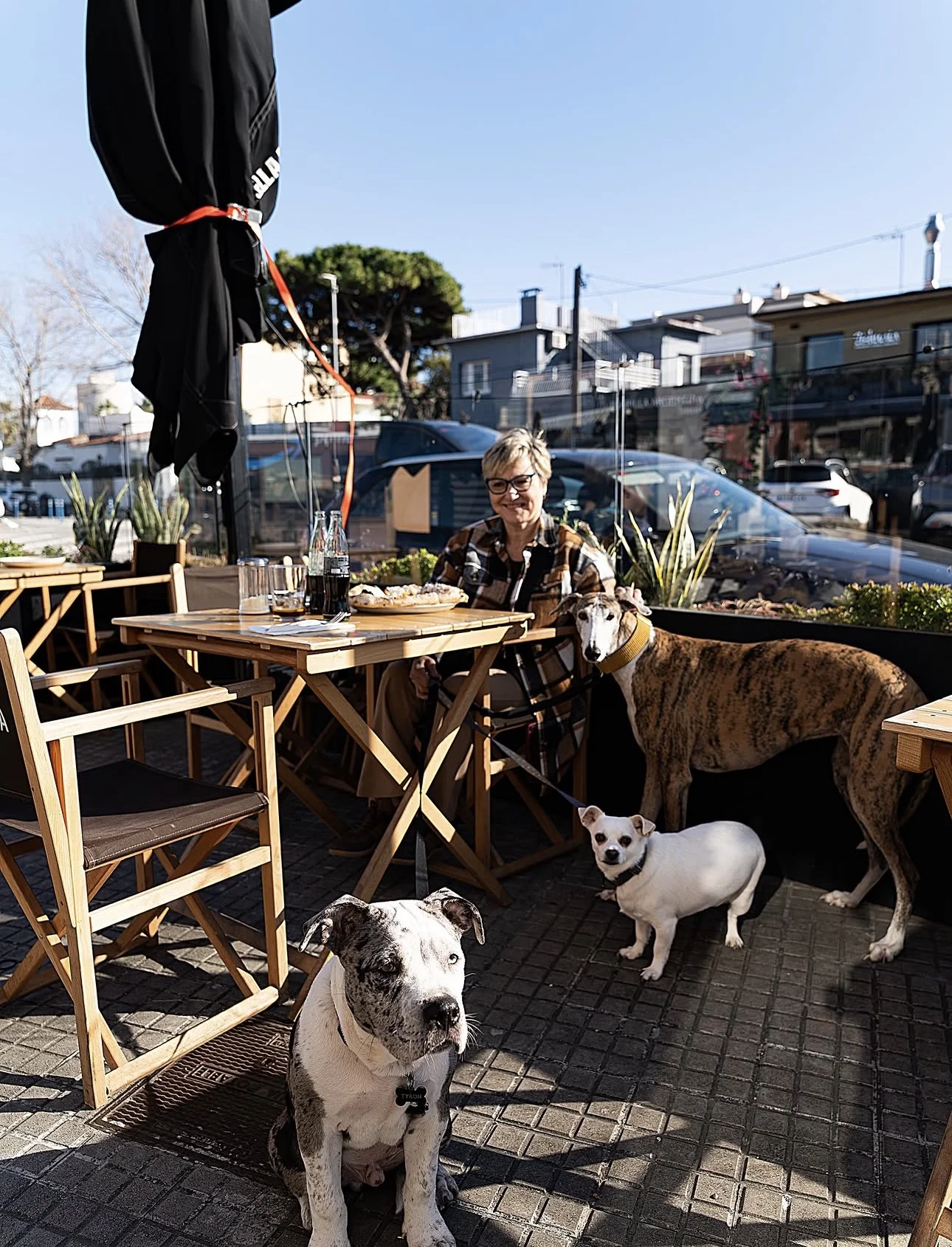 Terraza Il Piccolo Biondo
